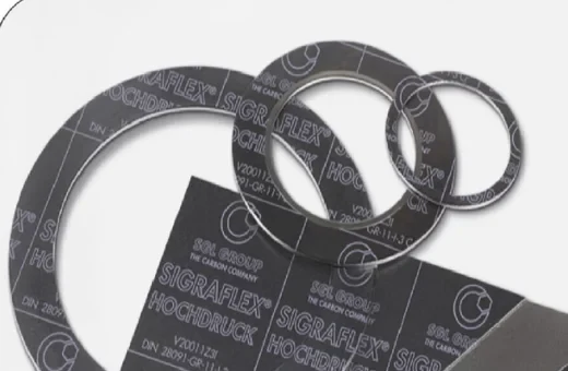 Flexible Graphite Gasket